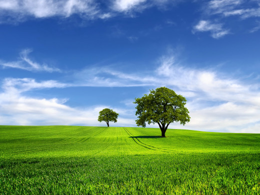 818214 (a): :2600x1950